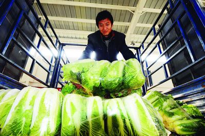 運輸鮮活農(nóng)產(chǎn)品昨起享綠色通道，公路通行費全免