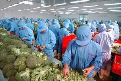 農(nóng)產(chǎn)品初加工企業(yè)免企業(yè)所得稅政策解讀