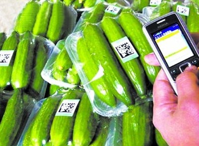 探索“掃碼觀菜、冷鏈出菜”新模式 讓農(nóng)產(chǎn)品更安全直達(dá)餐桌