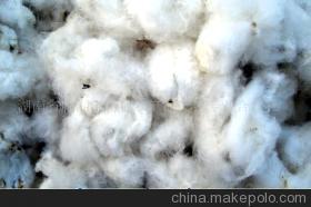 湖南省臨湘市特色農(nóng)產(chǎn)品產(chǎn)銷專業(yè)合作社 優(yōu)質(zhì)棉花采摘與產(chǎn)業(yè)價(jià)值探索