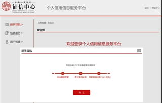 超重磅！史上最嚴(yán)征信系統(tǒng)正式上線，影響深遠(yuǎn)，手把手教您查詢